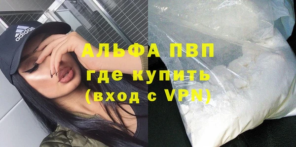 PSILOCYBIN Аркадак