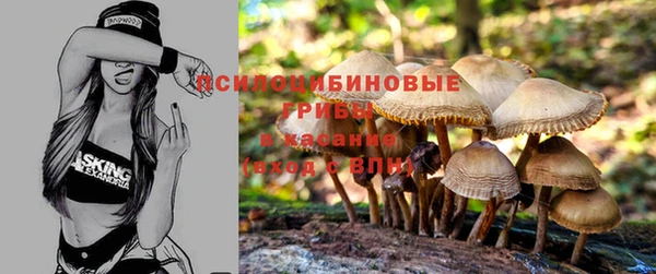 герыч Арсеньев