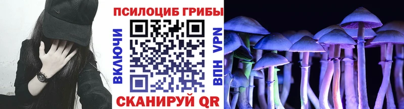 hydra маркетплейс  Камызяк  Псилоцибиновые грибы ЛСД 